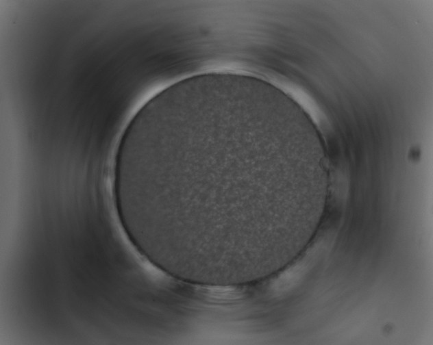 X0000103961007200809261807