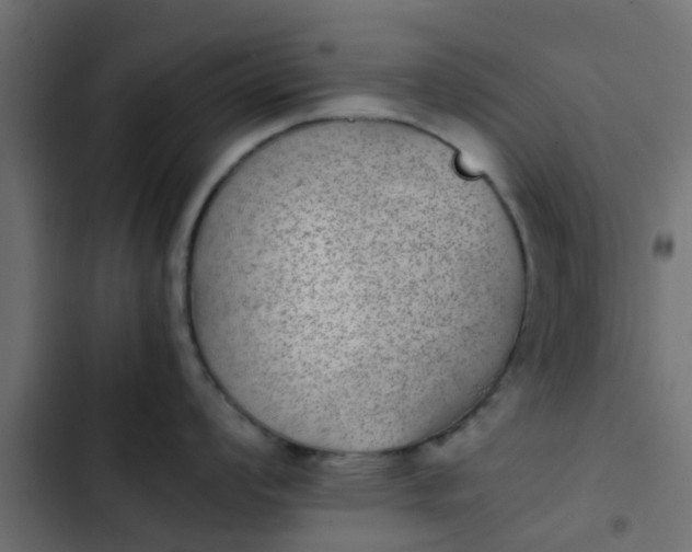 X0000103961008200809261807