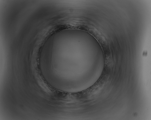 X0000103961009200809261806