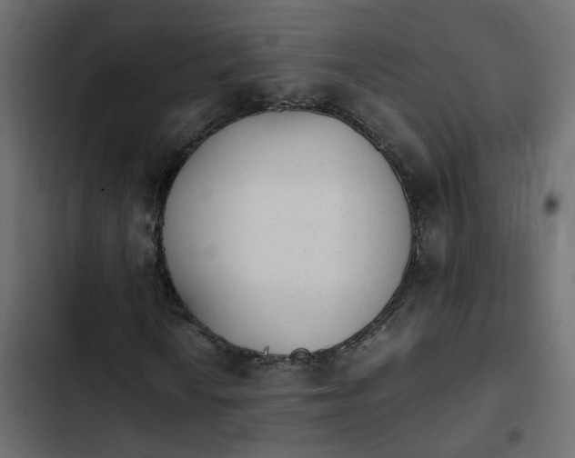 X0000103961010200809261806