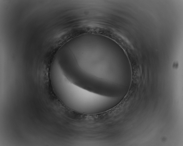 X0000103961013200809261806