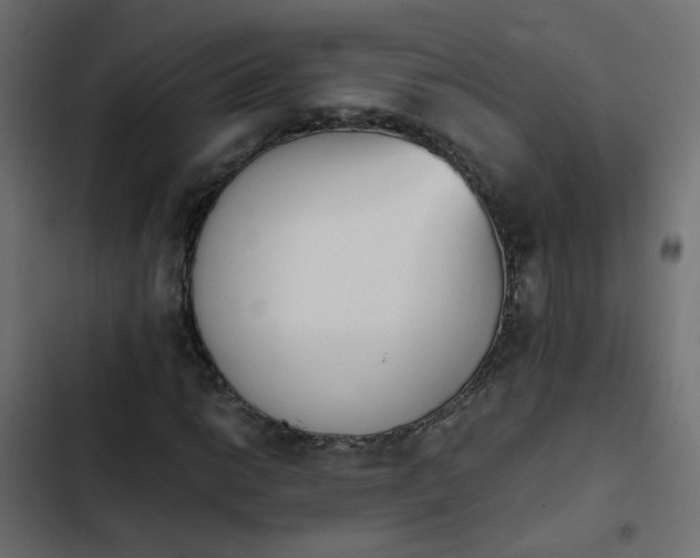 X0000103961014200809261806