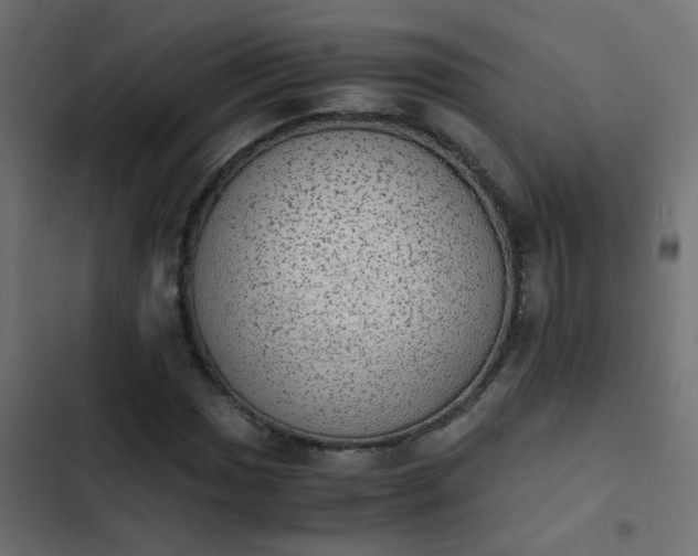 X0000103961017200809261806