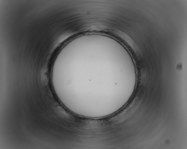 X0000103961018200809261806