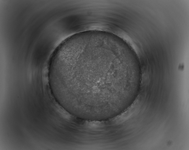 X0000103961019200809261806