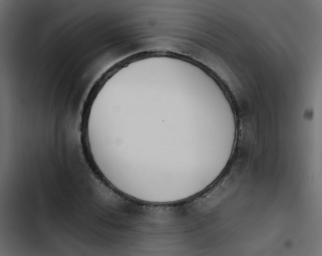 X0000103961020200809261806