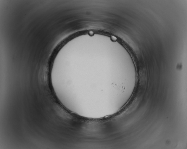 X0000103961021200809261806