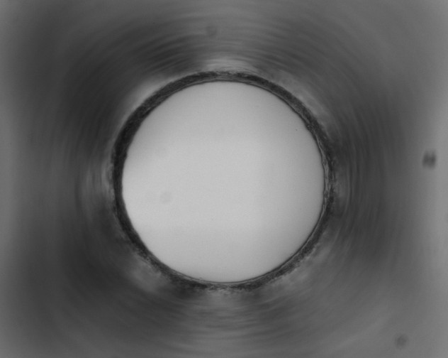 X0000103961022200809261806