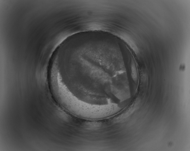 X0000103961023200809261806