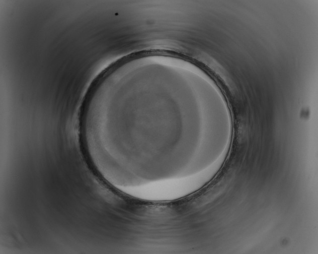 X0000103961024200809261806