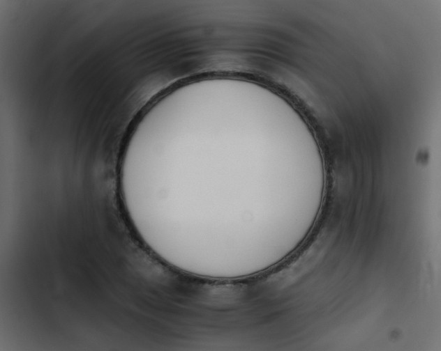X0000103961025200809261806
