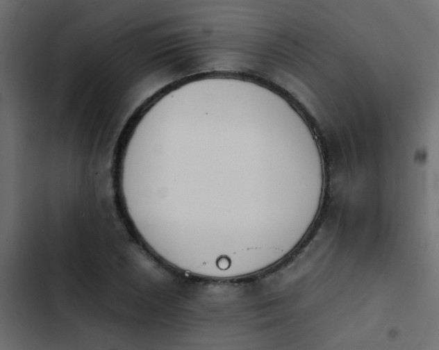 X0000103961026200809261806