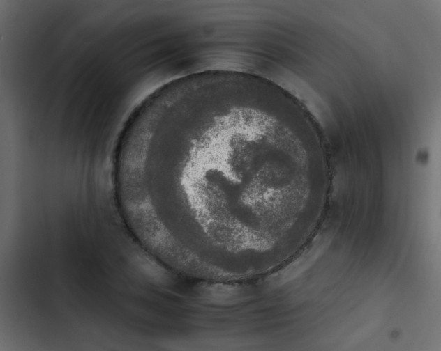 X0000103961027200809261806