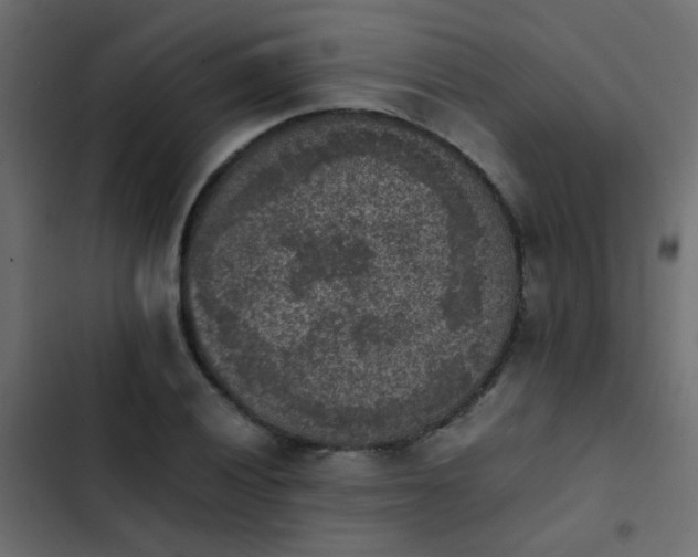 X0000103961028200809261806