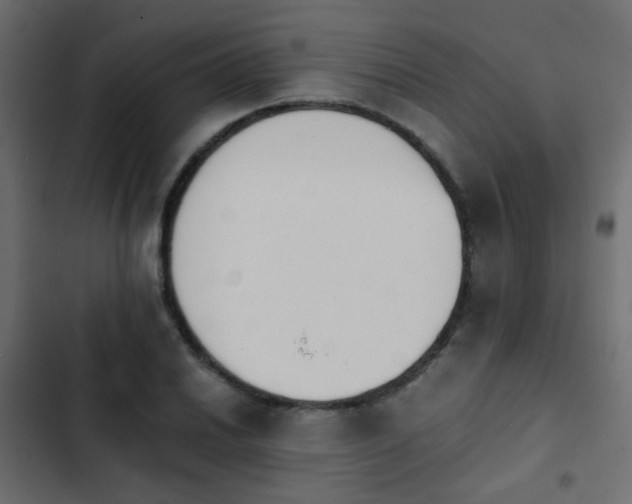 X0000103961030200809261806