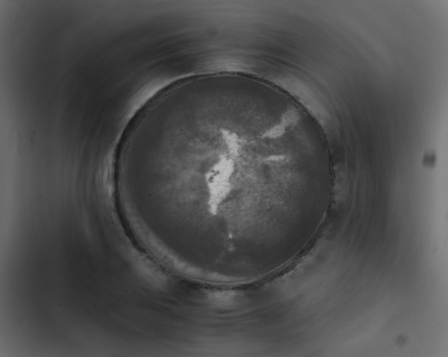 X0000103961031200809261806