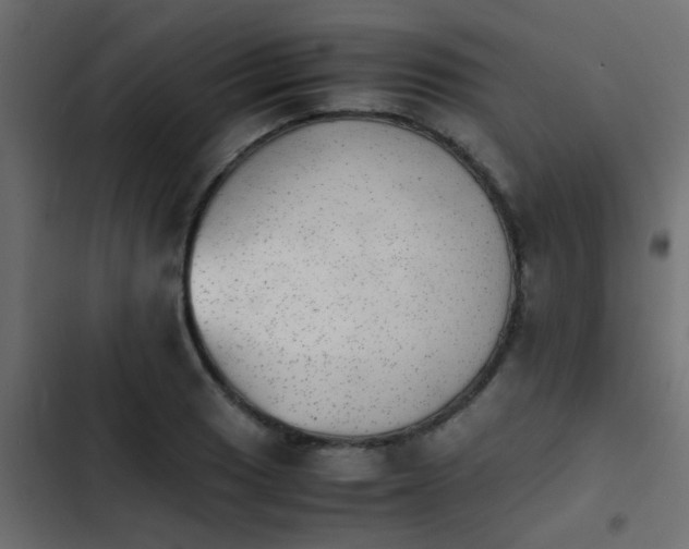 X0000103961033200809261806