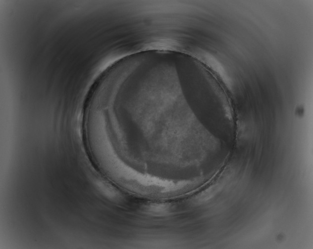 X0000103961035200809261806