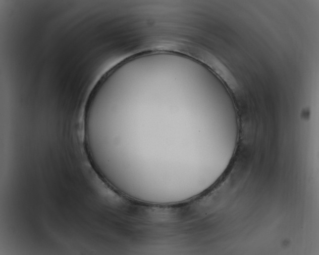 X0000103961036200809261806