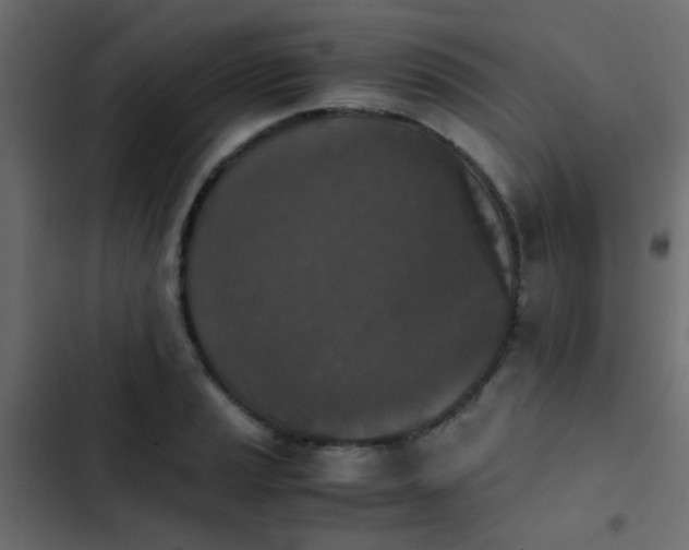 X0000103961037200809261806