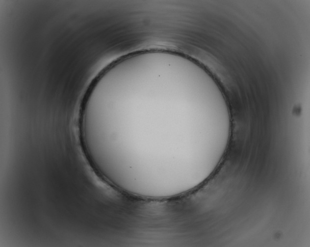 X0000103961038200809261806