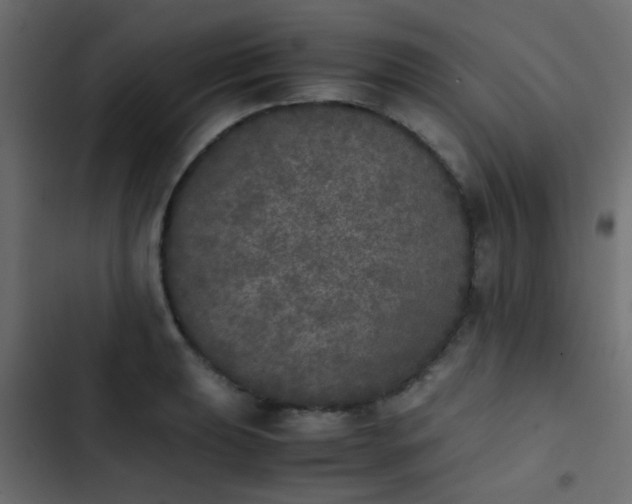 X0000103961039200809261806