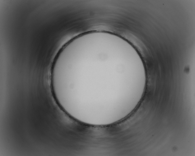 X0000103961040200809261806