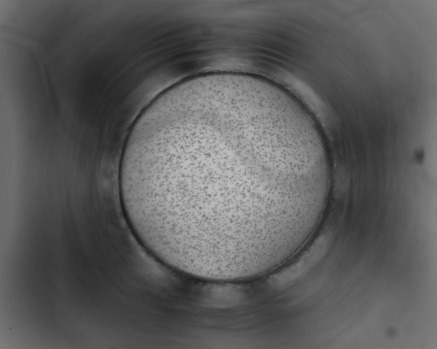 X0000103961041200809261806