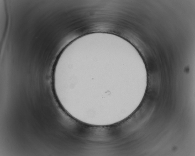X0000103961042200809261806