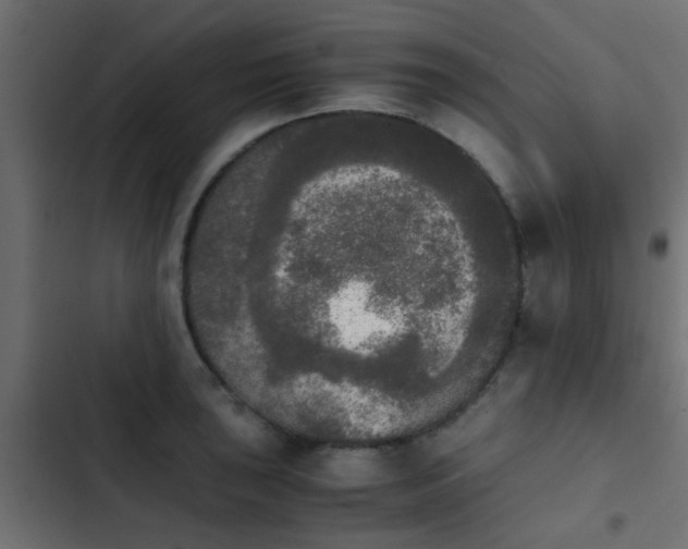 X0000103961043200809261806