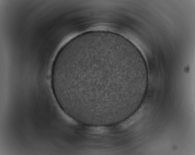 X0000103961045200809261807