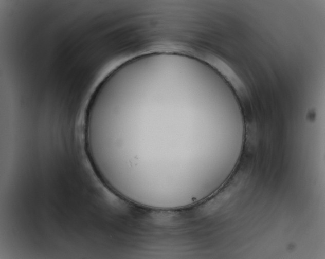 X0000103961046200809261807