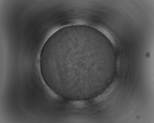 X0000103961047200809261807