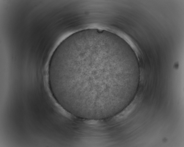 X0000103961048200809261807