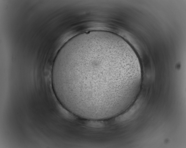 X0000103961049200809261807