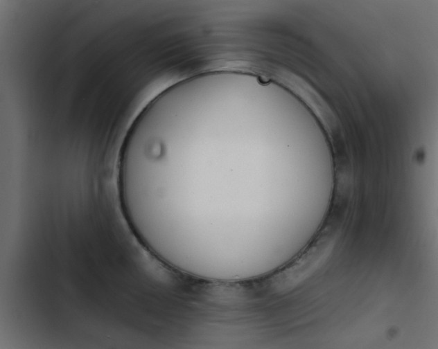X0000103961050200809261807
