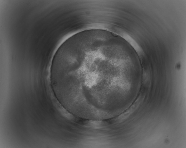 X0000103961052200809261807