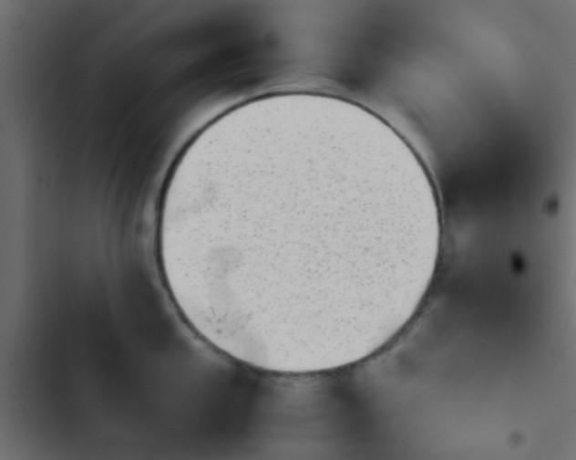 X0000103961053200809261807