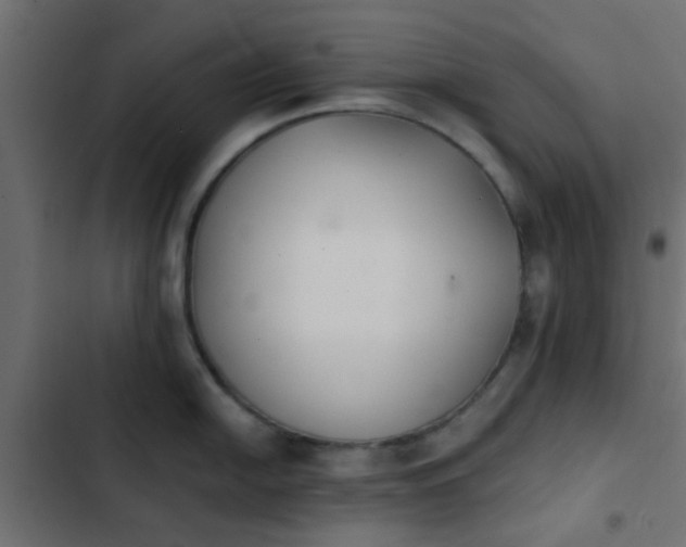 X0000103961054200809261807