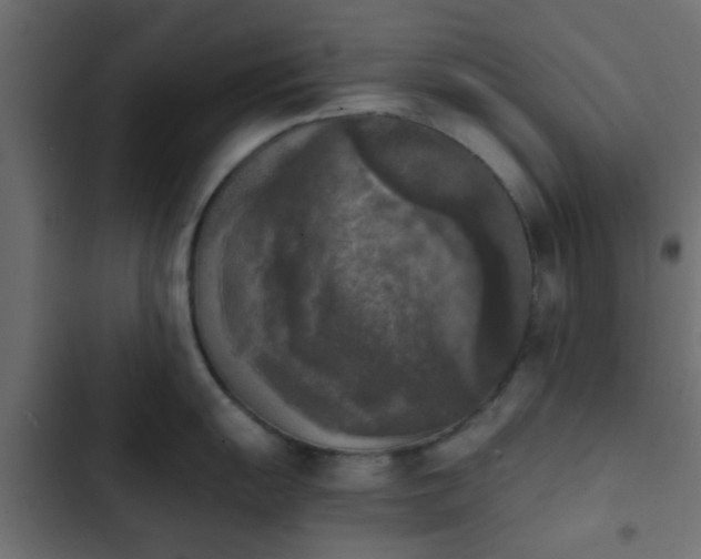 X0000103961055200809261807