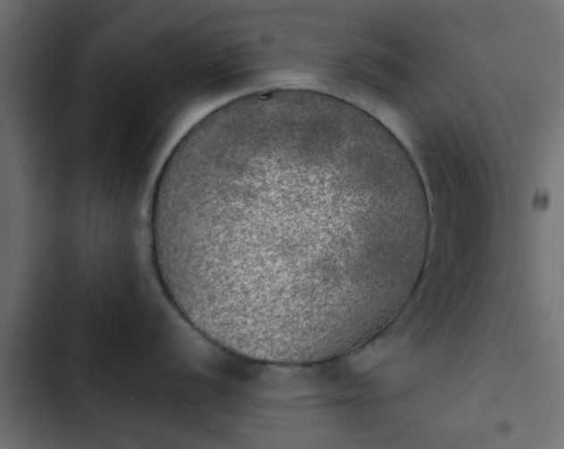 X0000103961056200809261807