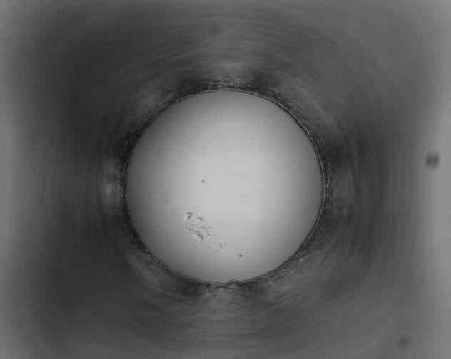 X0000103961058200809261806