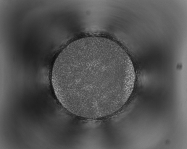 X0000103961060200809261806