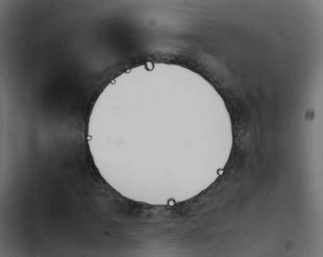 X0000103961061200809261806