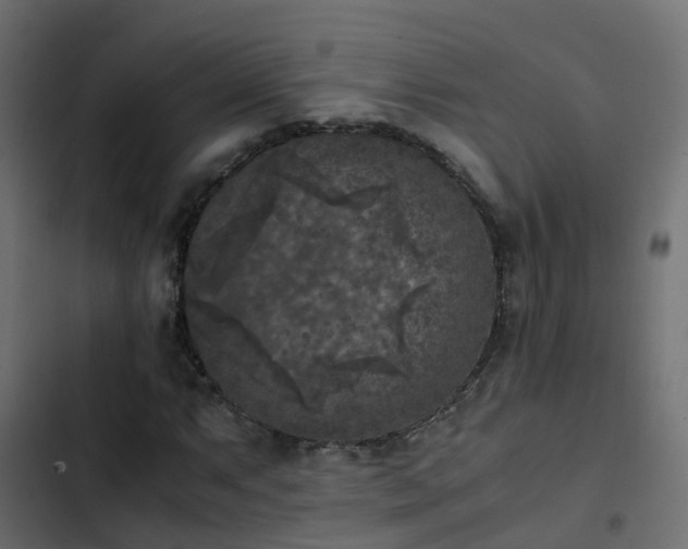 X0000103961063200809261806
