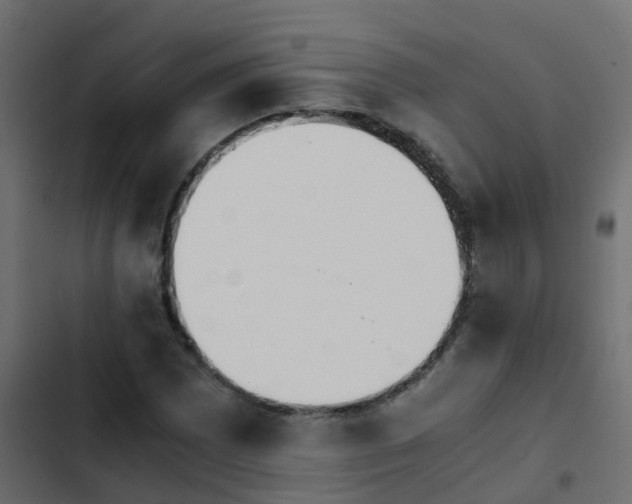 X0000103961065200809261806