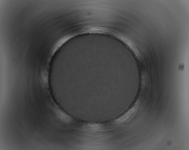 X0000103961066200809261806