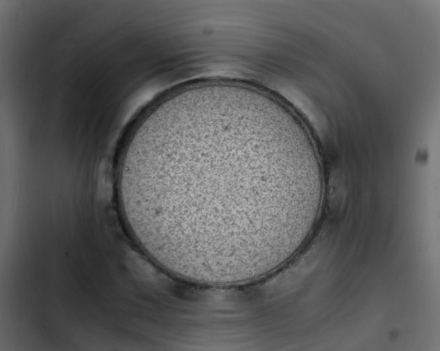X0000103961067200809261806