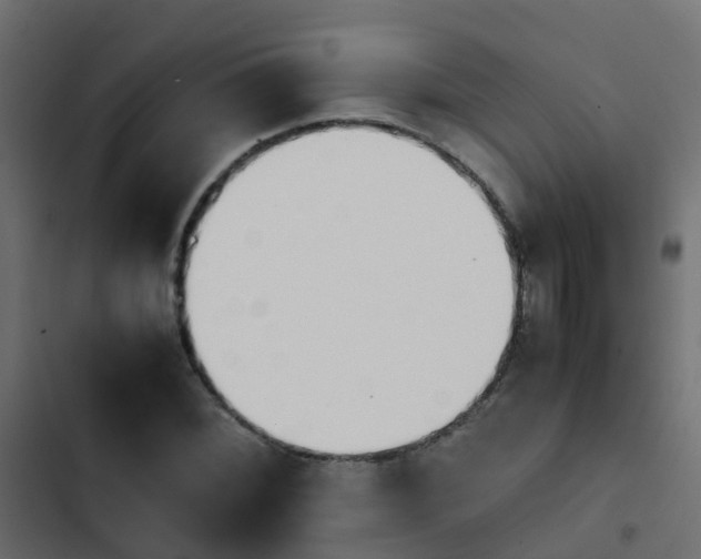 X0000103961068200809261806