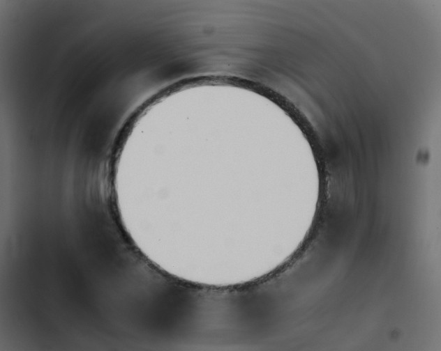 X0000103961069200809261806